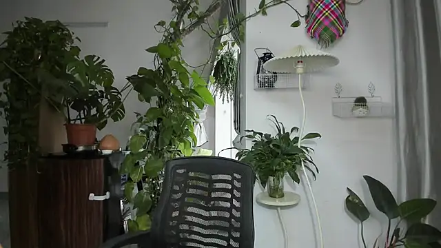 Oliver Nl online show from 19, 11, 2025