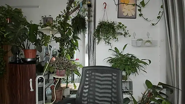 Oliver Nl online show from 13, 3, 2026