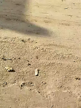 Snapshot of Monster_Bigdick chatting on 8, 12, 2024 Monster Bigdick online show from 8, 12, 2024