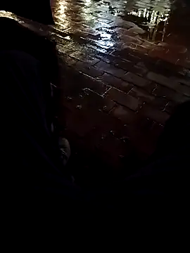 elvergalarga1329 online show from 18, 12, 2025