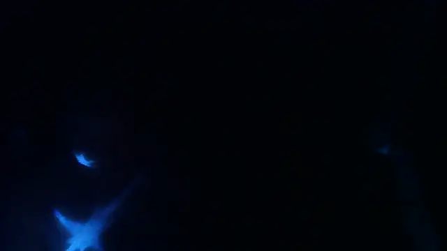 Snapshot of perversalus chatting on 9, 5, 2026 perversalus online show from 9, 5, 2026