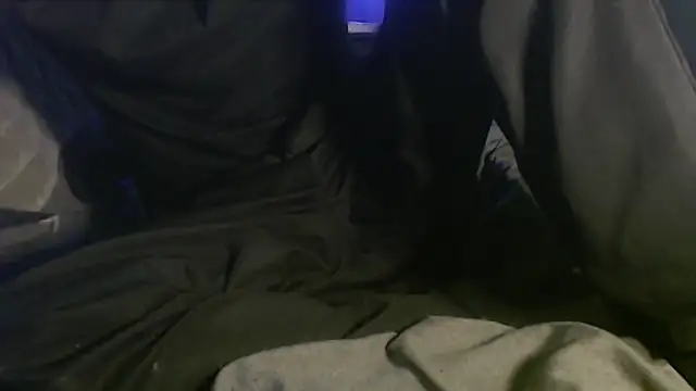 Dogz n daugthers online show from 4, 2, 2025