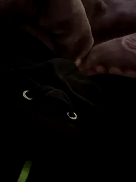 balamuc97 online show from 4, 12, 2025