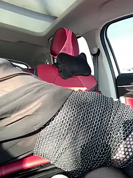  AHHA  online show from 27, 2, 2025