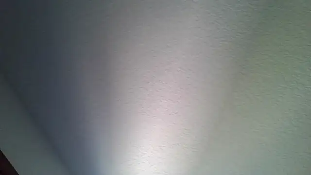 AdonisNarcissus online show from 22, 10, 2025