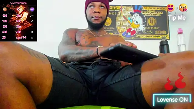 wotton 17 online show from 20, 11, 2025