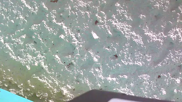 carolinesampaio online show from 18, 3, 2025