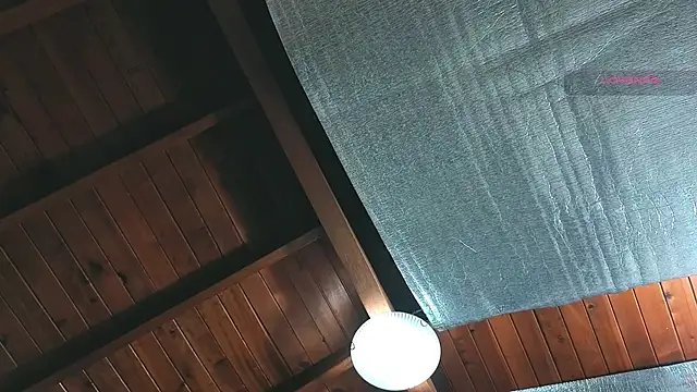 SilvaBranko online show from 7, 4, 2026