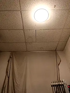 Armyexhibitionistvet online show from 4, 4, 2026