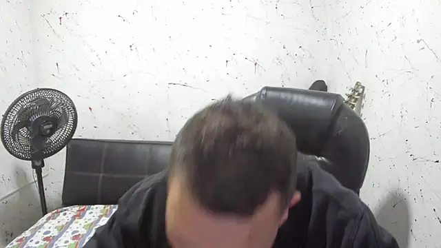  ace ventura online show from 21, 12, 2025