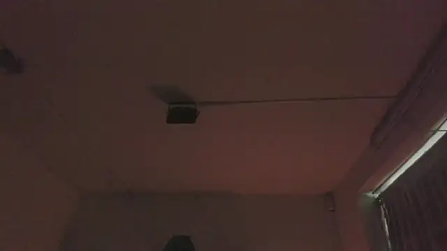 Paloma victory online show from 4, 4, 2026