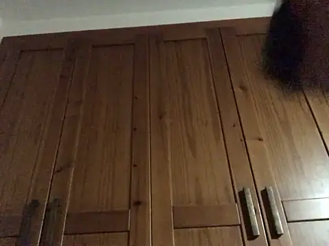 Snapshot of Dicksexhandjob chatting on 17, 12, 2024 Dicksexhandjob online show from 17, 12, 2024