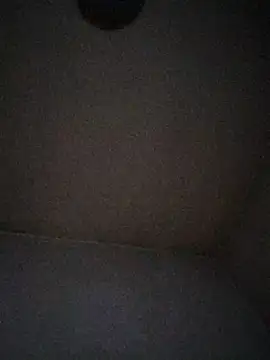 pontins online show from 25, 3, 2026