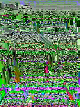 Snapshot of Vikki_toriya chatting on 1, 3, 2026 Vikki toriya online show from 1, 3, 2026