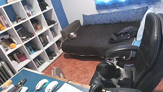 ravingr4d4 online show from 24, 10, 2025