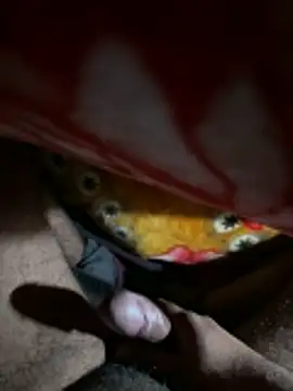 delhiboyz1 online show from 7, 1, 2026