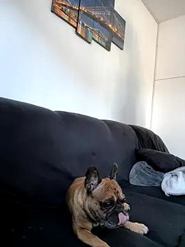 Bastilein1985 online show from 30, 10, 2025