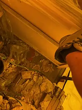 cussy007 online show from 13, 4, 2026