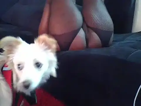 KikiLovesD online show from 23, 12, 2024