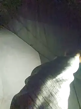 Snapshot of Snowwisss chatting on 10, 12, 2024 Snowwisss online show from 10, 12, 2024