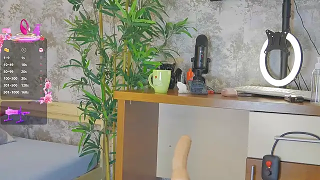 YourBurnWish online show from 8, 11, 2025