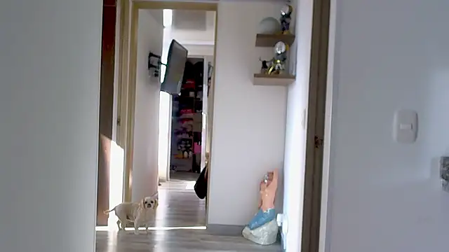 adan eva960 online show from 9, 9, 2025