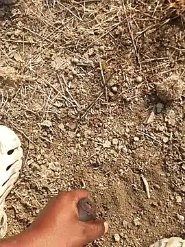 Snapshot of Ajith_mvi chatting on 18, 2, 2026 Ajith mvi online show from 18, 2, 2026