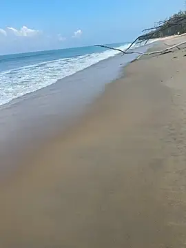 Snapshot of sexntease chatting on 5, 3, 2025 sexntease online show from 5, 3, 2025