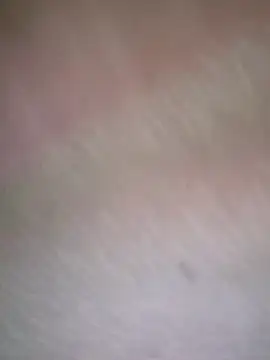 fkoito online show from 12, 1, 2026