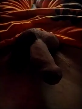 Snapshot of Luiz_097 chatting on 13, 9, 2025 Luiz 097 online show from 13, 9, 2025