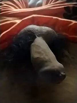 Luiz 097 online show from 19, 1, 2026