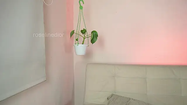 roselinedior online show from 21, 3, 2025