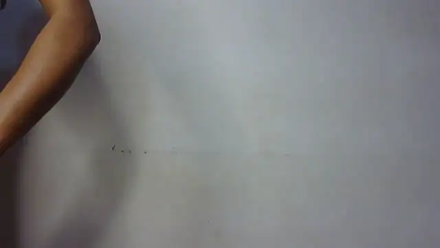 seema raani online show from 24, 1, 2025