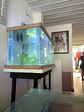 emmyjhonson07 online show from 30, 3, 2026