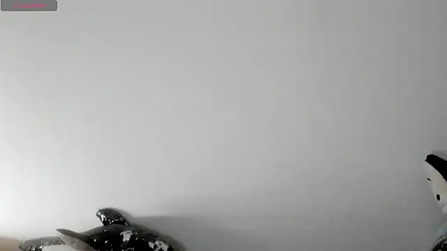 queen fetish online show from 8, 1, 2026