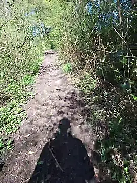 FreezingTie850 online show from 24, 4, 2026