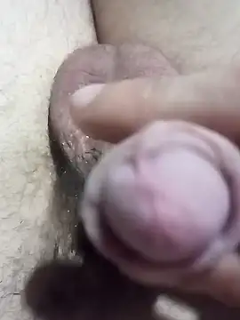 El22 1431 online show from 22, 12, 2024