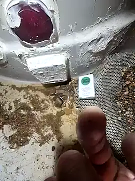 cdressupdiva online show from 20, 1, 2025