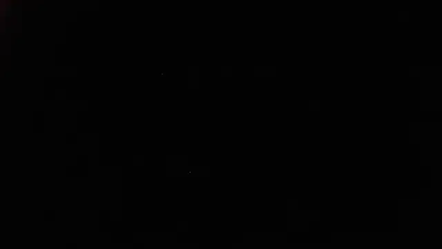 White daisy online show from 4, 1, 2025