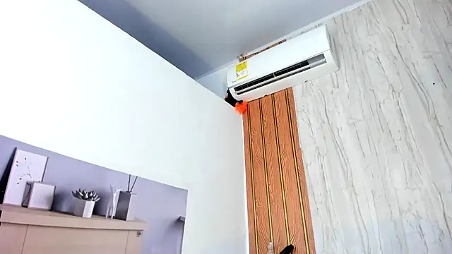 Alika01 online show from 12, 4, 2026