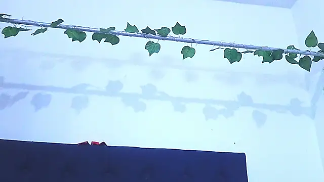 AliciaBasch online show from 9, 1, 2025