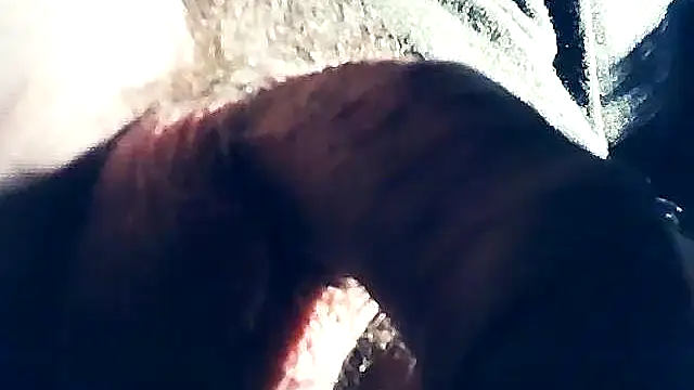 wedge75 online show from 8, 2, 2025