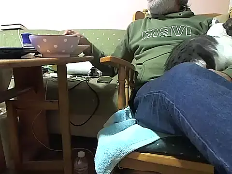 zormen355 online show from 14, 11, 2025