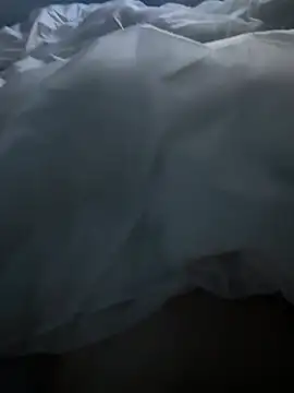 Snapshot of Pongobongo40 chatting on 26, 2, 2026 Pongobongo40 online show from 26, 2, 2026