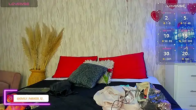 Snapshot of emily_parkerr chatting on 19, 2, 2025 emily parkerr online show from 19, 2, 2025