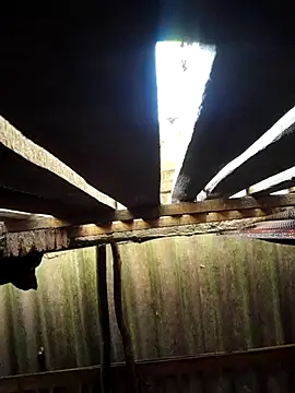 HotSexyBoudi online show from 29, 9, 2025