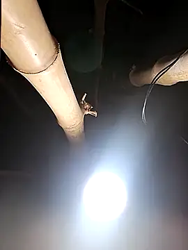 HotSexyBoudi online show from 26, 2, 2026