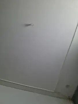 Maryan27 online show from 2, 2, 2026