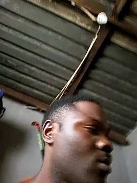 Petrossa online show from 23, 3, 2026