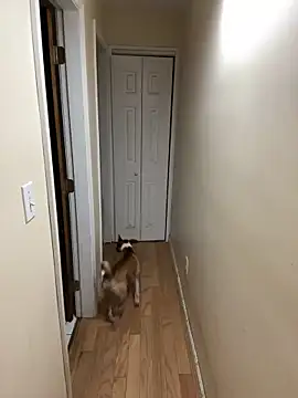 Snapshot of DaddySnowXX chatting on 16, 12, 2024 DaddySnowXX online show from 16, 12, 2024